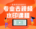 专业去视频水印教程 静态水印、动态水印、文字水印、图片水印一套教程通通搞定-小鸿资源库