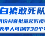白狼敢死队最新抖音短视频批量起影视号（一天单人可操作30个号）视频课程-小鸿资源库