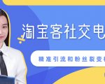 某站内部课程：淘宝客社交电商裂变，精准引流和粉丝裂变模式详解（共6节视频）-小鸿资源库