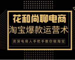 花和尚·天猫淘宝爆款运营实操技术，手把手教你月销万件的爆款打造技巧-小鸿资源库