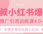 狼叔小红书爆款推广引流训练课4.0，手把手带你玩转小红书-小鸿资源库