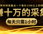 年赚十万的采集站,每天却只需要1小时,一年时间采集出一个售价10W以上的网站-小鸿资源库