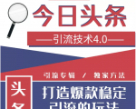 今日头条引流技术4.0，微头条实战细节，微头条引流核心技巧分析，快速发布引流玩法-小鸿资源库