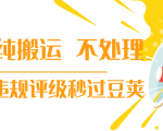 抖音纯搬运 不处理 小技巧，30秒发一个作品，避免违规评级秒过豆荚-小鸿资源库