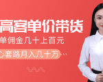抖音高单价带货项目，一单佣金几十上百元，核心套路月入几十万（共3节）-小鸿资源库