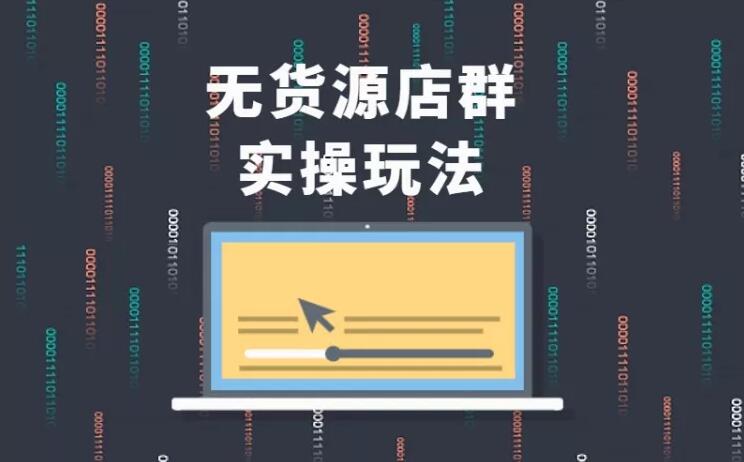 无货源店群实操玩法，蓝海选品的独特思路，店群软件操作方法（45节视频课）-小鸿资源库