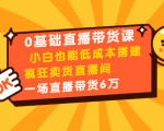 0基础直播带货课：小白也能低成本搭建疯狂卖货直播间：1场直播带货6万-小鸿资源库