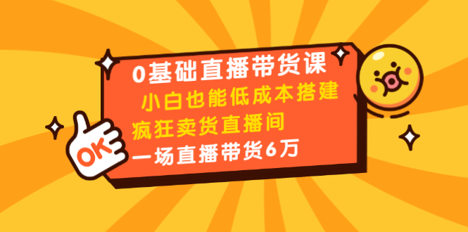 0基础直播带货课：小白也能低成本搭建疯狂卖货直播间：1场直播带货6万-小鸿资源库