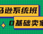 亚马逊系统班,专为0基础卖家量身打造,亚马逊运营流程与架构-小鸿资源库