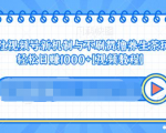 视频号新机制与不刷赞撸养生茶玩法，轻松日赚1000+-小鸿资源库