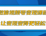 微信视频号变现项目，0粉丝冷启动项目和十三种变现方式-小鸿资源库