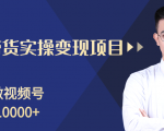 柚子分享课：微信视频号变现攻略，新手零基础轻松日赚千元-小鸿资源库