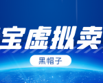 黑帽子淘宝虚拟卖货项目，单店每月收入5000+-小鸿资源库