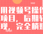 视频号操作书单变现项目，后期轻松变现，完全躺赚日入300至500元-小鸿资源库