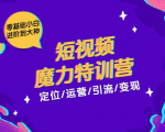 零基础小白进阶到大神《短视频魔力特训营》定位-运营-引流-变现-小鸿资源库
