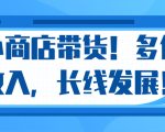 微信小商店带货，爆单多倍收入，长期复利循环！日赚300-800元不等-小鸿资源库