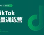 2020最新TikTok流量增长训练营（完结）附PPT-小鸿资源库