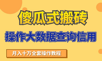 搬砖操作大数据查询信用项目赚钱教程，祝你快速月入6万-小鸿资源库