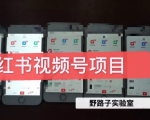 野路子小红书视频号1.0项目，直接上手操作就能赚钱的视频号项目-小鸿资源库