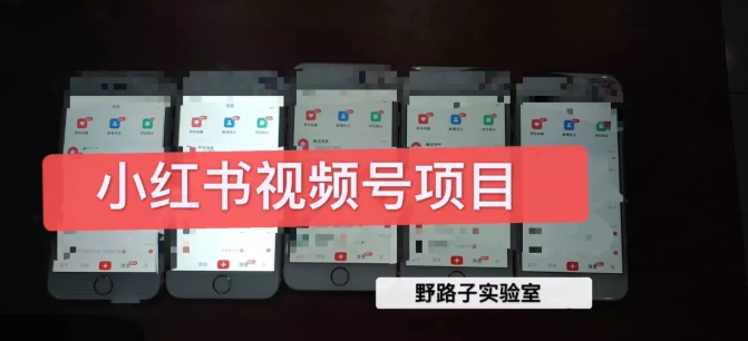 野路子小红书视频号1.0项目，直接上手操作就能赚钱的视频号项目-小鸿资源库