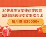 30天疯卖文案速成变现营，0基础玩透爆卖文案捞金术！每月增收20000+-小鸿资源库
