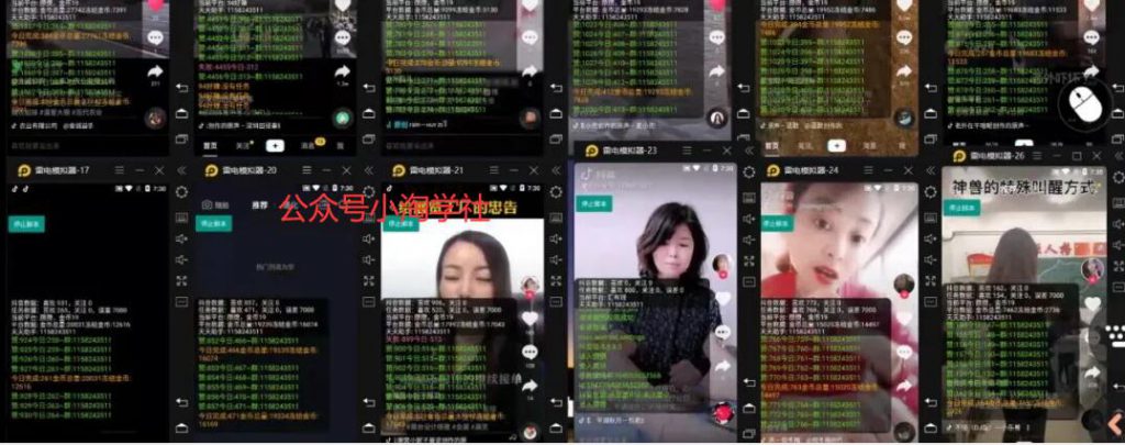 抖音挂机点赞自动赚钱项目深度评测-小鸿资源库