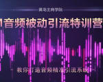 黄岛主·FM音频引流特训营2.0：独家引流模式，单账号50W+播放量，轻松变现-小鸿资源库