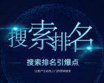 搜索排名引爆点：教你快速掌握各个搜索引擎排名算法，让客户主动找上你的秘笈-小鸿资源库