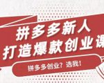 拼多多新人打造爆款创业课：快速引流持续出单，适用于所有新人-小鸿资源库