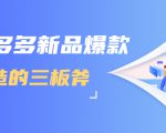 拼多多新品爆款打造的三板斧,快速提升销量+转化+点击率(视频课程)-小鸿资源库