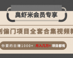 暴利偏门项目全套合集视频教程：你要的日赚1000+月入几万+项目都有-小鸿资源库