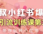 狼叔小红书爆款推广引流训练课第12期,手把手带你玩转小红书-小鸿资源库