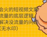 只说话就会火的短视频文案课，从根本上解决没流量的问题-小鸿资源库