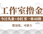 工作室撸金二件套：撸今日头条原创收益+小红书一单利润40块项目-小鸿资源库