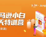 雨课·亚马逊小白特训营第9期 跨境电商挺赚钱的 有朋友已经月入几十万美金-小鸿资源库
