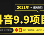抖音9.9课程项目，没粉丝也能卖课，一天300+粉易变现-小鸿资源库