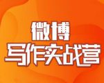 村西边老王·微博超级写作实战营,帮助你粉丝猛涨价值999元-小鸿资源库