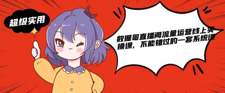 数据哥直播间流量运营线上实操课，不能错过的一套系统课-小鸿资源库