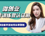 微创业全能训练营认证班课程，从理论知识与实际案例手把手指导创业新手如何从零到有-小鸿资源库