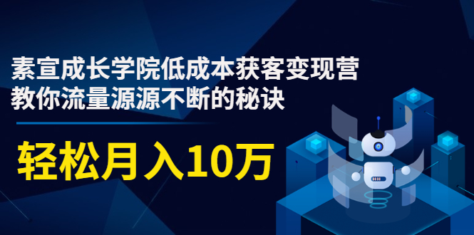 素宣成长学院低成本获客变现营,教你流量源源不断的秘诀,轻松月入10万-小鸿资源库