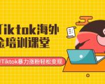 最新Tiktok海外掘金培训课堂：带你玩转Tiktok暴力涨粉轻松变现-小鸿资源库