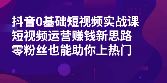 抖音0基础短视频实战课，短视频运营赚钱新思路，零粉丝也能助你上热门-小鸿资源库