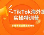 TikTok海外掘金实操特训营：手把手教运营变现赚钱-小鸿资源库