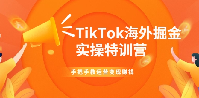 TikTok海外掘金实操特训营：手把手教运营变现赚钱-小鸿资源库