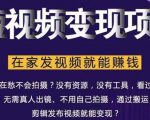 在家也能操作的短视频赚钱项目，无需真人，不用拍摄，纯搬运月入2到5万-小鸿资源库