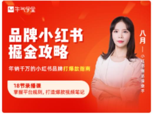 品牌小红书掘金攻略，年销千万的小红书品牌打爆款指南-小鸿资源库