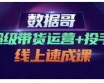 数据哥·超级带货运营+投手线上速成课，快速提升运营和熟悉学会投手技巧-小鸿资源库