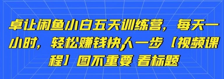 卓让闲鱼小白五天训练营，每天一小时，轻松赚钱快人一步-小鸿资源库