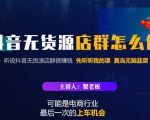 蟹老板·抖音无货源店群怎么做，吊打市面一大片《抖音无货源店群》的课程-小鸿资源库