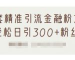 1套精准引流金融粉方法，轻松日引300+粉丝-小鸿资源库